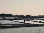 20251014_PETANI-GARAM-Petani-garam.jpg