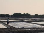 20251014_petani-garam.jpg