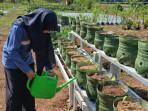 20251021_URBAN-FARMING-di-Kota-Pekalongan_1.jpg