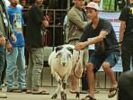 20251026_peternak-domba-di-Pasar-Hewan-Ambarawa_1.jpg