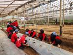 20251028-_-Suasana-Kebun-Belajar-Tani-Wonosobo.jpg