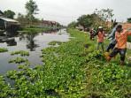 20251030-_-Pembersihan-Eceng-Gondong-di-Sungai-Bermi-Pekalongan.jpg