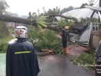 2025103_POHON-TUMBANG-Kondisi-pohon-tumbang-yang-terjadi.jpg