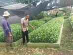 Ali-Saroni-Ketua-Bidang-Lingkungan-Hidup-ICMI-Jateng-saat-mengecek-bibit-pohon.jpg