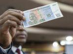 Bank-Sentral-Zimbabwe-memperkenalkan-mata-uang-baru-dengan-nama-ZiG.jpg