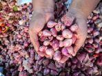 Bawang-merah-di-Pasar-Karangayu-Semarang.jpg