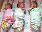 Bayi-Kembar-Tiga-Identik.jpg