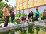 Benih-Ikan-Nila-Rutan-Purbalingga.jpg