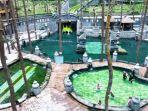 DTW-Guci-Kabupaten-Tegal-yaitu-Guci-Forest.jpg