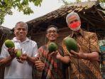 Ganjar-Alpukat-Rifai.jpg