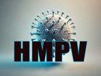ILUSTRASI-HMPV.jpg