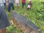 Insiden-Sungai-Arut-Kelurahan-Mendawai-Seberang-Arut-Selatan.jpg