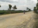 JALAN-PRAMOEDYA-ANANTA-TOER.jpg