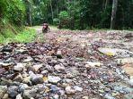 Jalanan-di-Kabupaten-Sinjai-yang-belum-tersentuh-aspa.jpg