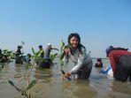 Kegiatan-tanam-mangrove-alumni-IPB-di-desa-Kartika-Jaya-Kecamatan-Patebon-Kendal.jpg