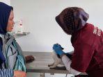 Klinik-Hewan-Gayamsari-dan-Puskeswan-Mijen.jpg