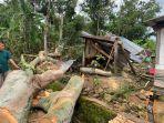 Kondisi-dapur-rumah-yang-hancur-karena-tertimpa-pohon-tumbang-di-Kabupaten-Semarang.jpg