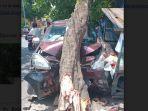 Kondisi-pedagang-dan-pohon-yang-tertabrak-Avanza-di-Jalan-Cemara-Semarang.jpg
