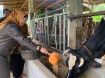 Lani-Dwi-Rejeki-di-Desa-Semampir.jpg