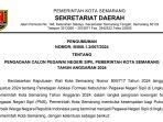 Link-Dowload-PDF-Rincian-331-Formasi-CPNS-2024-Pemkot-Semarang-sscasnbkngoid.jpg