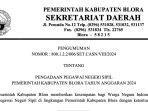 Link-Download-PDF-Rincian-202-Formasi-CPNS-2024-Pemkab-Blora-sscasnbkngoid.jpg