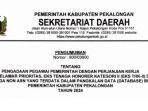 Link-Download-PDF-Rincian-397-Formasi-PPPK-2024-Pemkab-Pekalongan-sscasnbkngoid.jpg