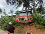 Lokasi-diduga-tempat-penembak-Rudi-S-Gani-melakukan-aksinya.jpg