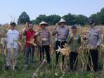 PANEN-JAGUNG-Jajaran-Polsek-Kota-Kudus.jpg