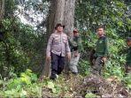 Cegah Gangguan Keamanan Hutan, Perhutani KPH Gundih Gencarkan Patroli di Kawasan Rawan