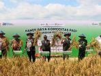 Panen-Padi-Pupuk-Organik-di-Blora.jpg