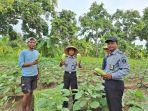 Panen-Raya-Hasil-Pertanian-Lapas-Terbuka-Kendal-Terong-Hijau-Jadi-Bintang-Utama.jpg