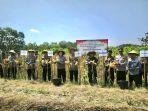 Panen-raya-jagung-Polres-Sragen.jpg