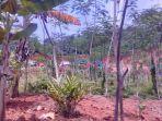 Pantauan-lapangan-aktivitas-tambang-golongan-C-ilegal.jpg