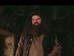 Pemeran-Hagrid-dalam.jpg