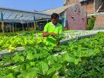 Kisah Petani Muda di Solo Berdayakan Tanah Wakaf lewat Hidroponik