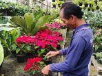 Penjual-tanaman-hias-di-Dusun-Dukuh-Desa-Kopeng-Kecamatan-Getasan-Kabupaten-Semarang.jpg