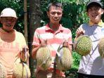 Petani-buah-durian-di-Desa-Trayu-Kecamatan-Singorojo-Kabupaten-Kendal.jpg