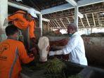 Petugas-kesehatan-hewan-melakukan-vaksinasi-terhadap-s.jpg