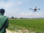 Petugas-sedang-mengoperasikan-drone-penyemprot-pupuk-cair-di-wilayah-persawahan-Desa-Karangrowo.jpg
