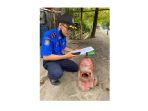 PetugasDamkar-Satpol-P3KP-Kota-Pekalongan-mengecek-kondisi-hydrant.jpg