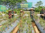 Pj-Bupati-Batang-Lani-Dwi-Rejeki-bersama-Forkopimda-saat-panen-perdana-cabai.jpg