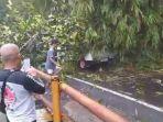 Pohon-peusar-dan-bambu-timpa-3-kendaraan-di-Jalan-Bandung-Cirebon.jpg