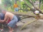 Pohon-tumbang-timpa-warga-di-Sinjai.jpg