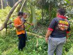 Polisi-saat-berada-di-lokasi-pria-terjatuh-dari-pohon-Alba-di-Dusun-Gumelar.jpg