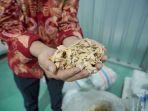 Produk-Porang-Jawa-Tengah-Tembus-Pasar-Cina-Bea-Cukai-Tanjung-Emashgf541234.jpg