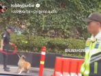Roby-Purba-memviralkan-video-satpam-Plaza-Indonesia-pukul-anjing.jpg