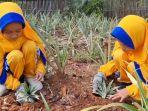 SDIT-Al-Islamiyah-Kudus-Nanas.jpg