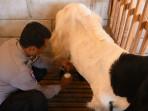 Seputar-Polri-Brigadir-Revangga-kembangkan-peternakan-kambing-etawa.jpg