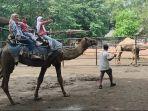 Suasana-Semarang-Zoo-saat-awal-tahun-2025.jpg