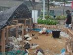 Sukoharjo-Agropolitan-Expo.jpg